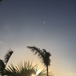 Meet your Posher, Joelyn